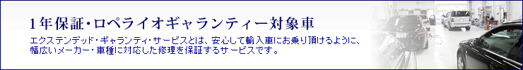 1�N�ۏ؁E���y���C�I�M�������e�B�[�Ώێԁb�G�N�X�e���f�b�h�E�M�������e�B�E�T�[�r�X�Ƃ́A���S���ėA���Ԃɂ���蒸����悤�ɁA���L�����[�J�[�E�Ԏ�ɑΉ������C����ۏ؂���T�[�r�X�ł��B