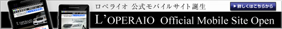 ���y���C�I