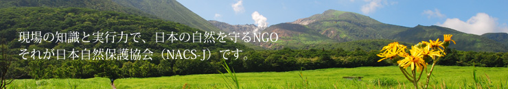 現場の知識と実行力で、日本の自然を守るNGO それが日本自然保護協会（NACS-J）です。